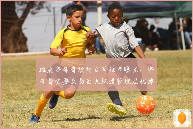 雄鹿字母哥续约合同细节曝光，字母哥索要交易否决权遭管理层犹豫