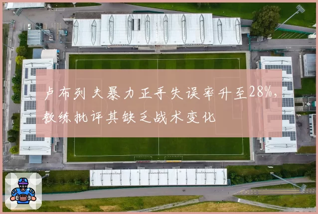卢布列夫暴力正手失误率升至28%，教练批评其缺乏战术变化