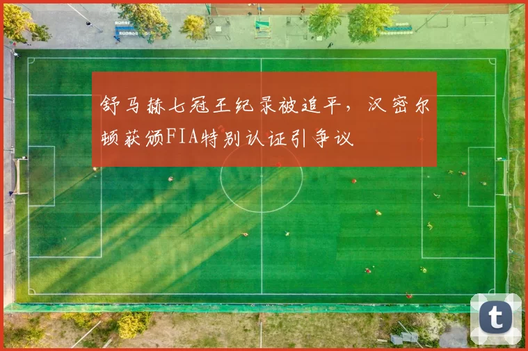 舒马赫七冠王纪录被追平,汉密尔顿获颁FIA特别认证引争议